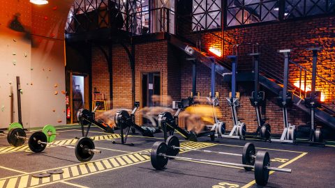 Rymar commercial turf in fitness facility